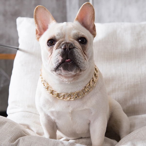 PVC Necklace for Cat Dog